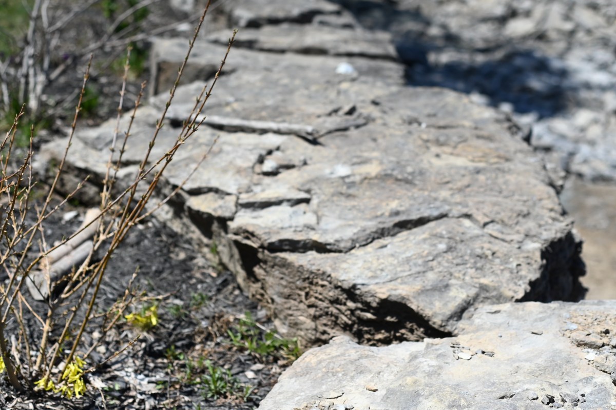 Stones and the kindness of&nbsp;others.