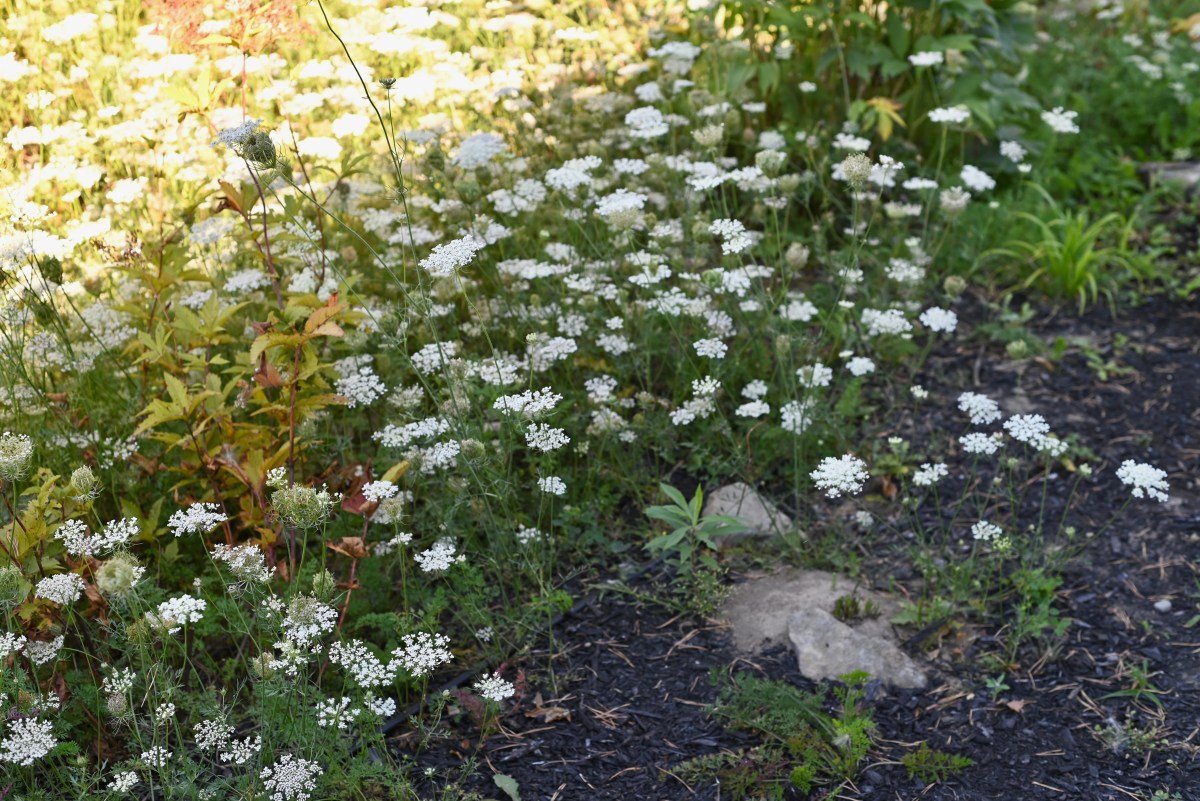Taking a breath & being easy on&nbsp;yourself
