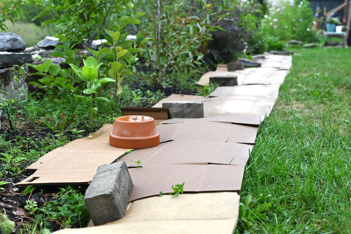 Slowing down and preparing for next&nbsp;year